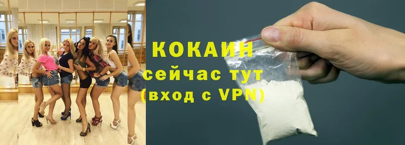 как найти наркотики  Баксан  Cocaine Эквадор 